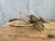 Figurative Brass Lobster Figurine For Sale - Image 3 of 14