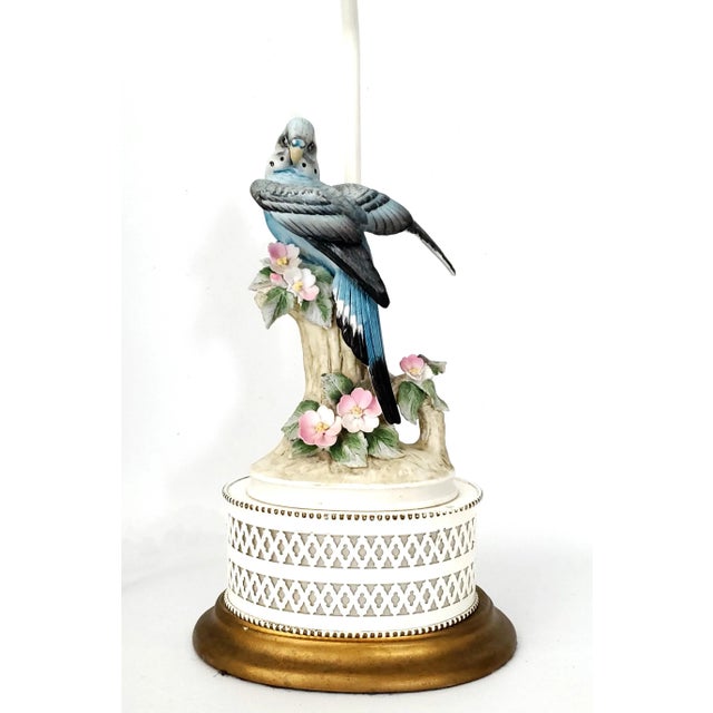 Lamp Blue Parakeet Parrot For Sale In Miami - Image 6 of 12