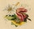 James Holland OWS, Flower Posy with Tulip & Clematis, Watercolour For Sale