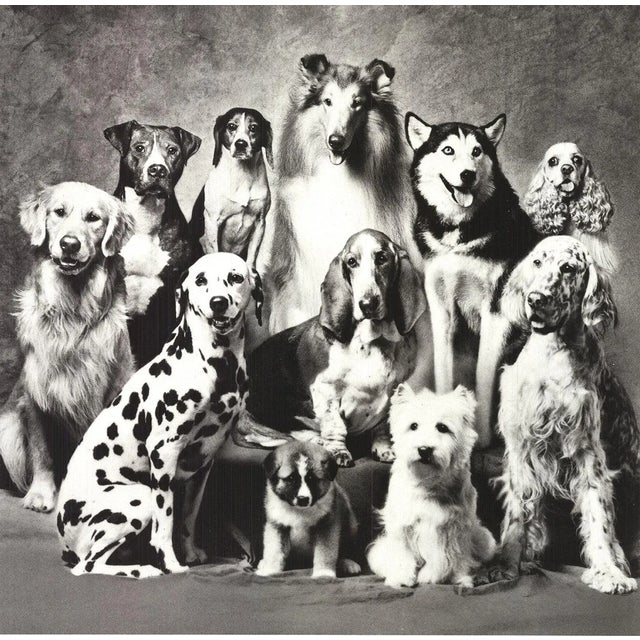 Artist: Howard Bernman Title: Family of Dog Year: 1989 Signed: No Medium: Offset Lithograph Paper Size: 23 x 22 inches (...