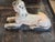 1920s 1920s Egyptian Spinx Garden Statue For Sale - Image 5 of 8