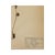 1900 - 1909 Antique Vintage Herbarium - Tormentil, Circa 1908 For Sale - Image 5 of 5