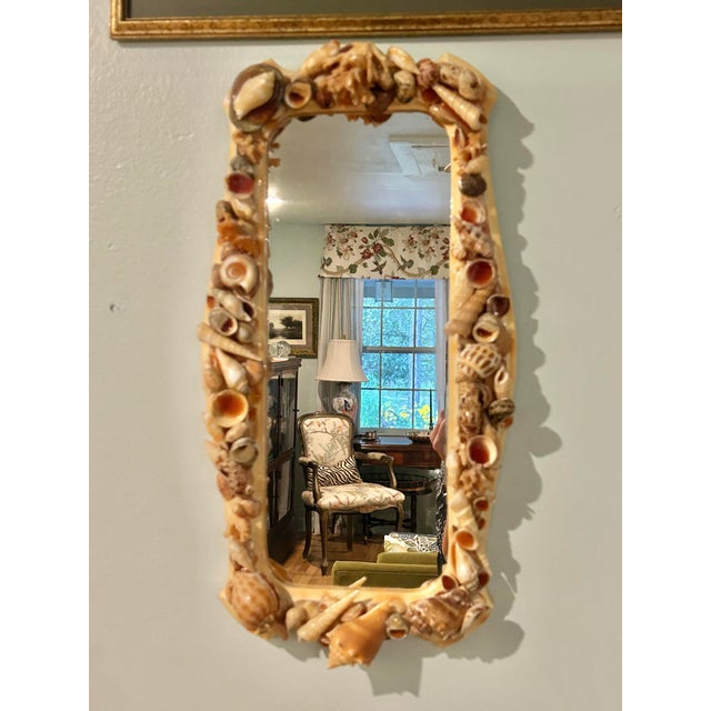 This vintage wall mirror is framed with an abundant arrangement of natural seashells in warm ivory, blush, peach, and...