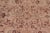 Boho Chic 1990's Pak-Persian Tan/Green Wool Rug - 6'1'' X 8'8'' For Sale - Image 4 of 9