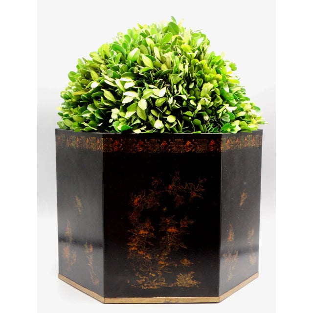Large Italian Regency Style Toleware Jardinieres W/ Preserved Boxwood, a Pair For Sale - Image 4 of 15