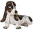 Glazed Majolica Basset Hound Made in Italy C. 1970/80's For Sale - Image 4 of 11
