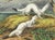 Original first edition Audubon stone lithograph from "The Viviparous Quadrupeds of North America", octavo edition, printed...