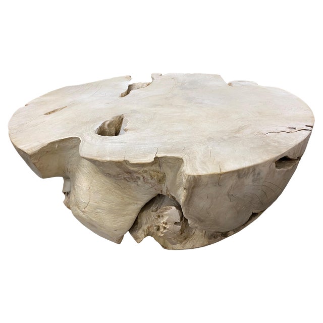 Andrianna Shamaris Round Bleached Teak Wood Coffee Table For Sale - Image 15 of 18