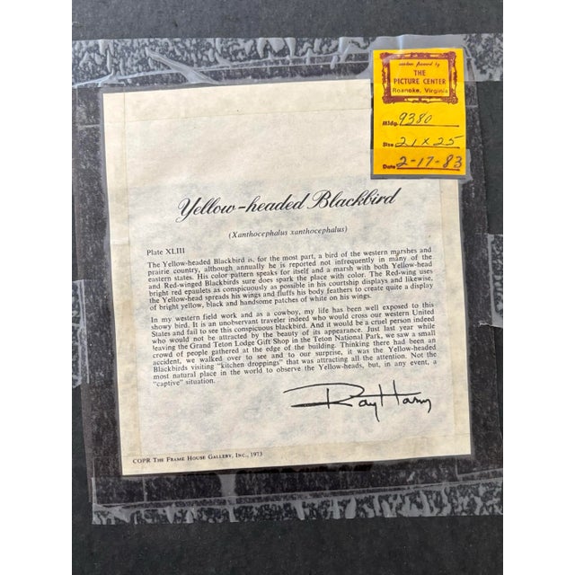 1970s Lithograph Western Bird Prints by Ray Harm, Framed and Signed, a Pair For Sale - Image 9 of 10