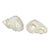 Vintage Pearl White Seashell Napkin Holders- Set of 2 For Sale
