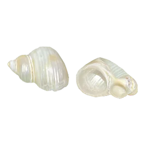 Vintage Pearl White Seashell Napkin Holders- Set of 2