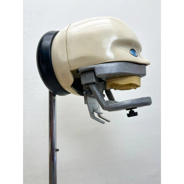 Vintage Dental Practice Training Phantom Head on Stand, 1970s For Sale - Image 12 of 13
