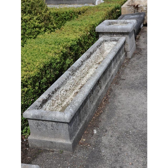 1950s Mid-Century French Limestone Planters, 1950s, Set of 4 For Sale - Image 5 of 12