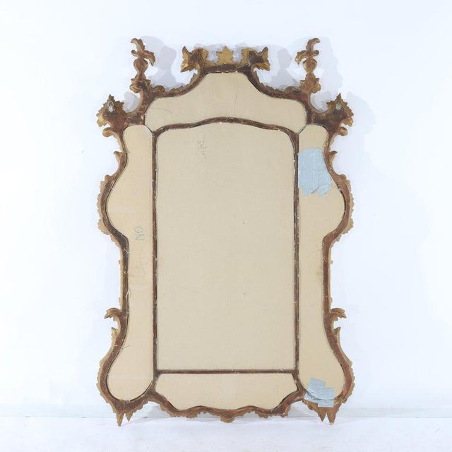 Large Antique French Rococo Style Gilt Wood Mirror C1930 For Sale - Image 9 of 13