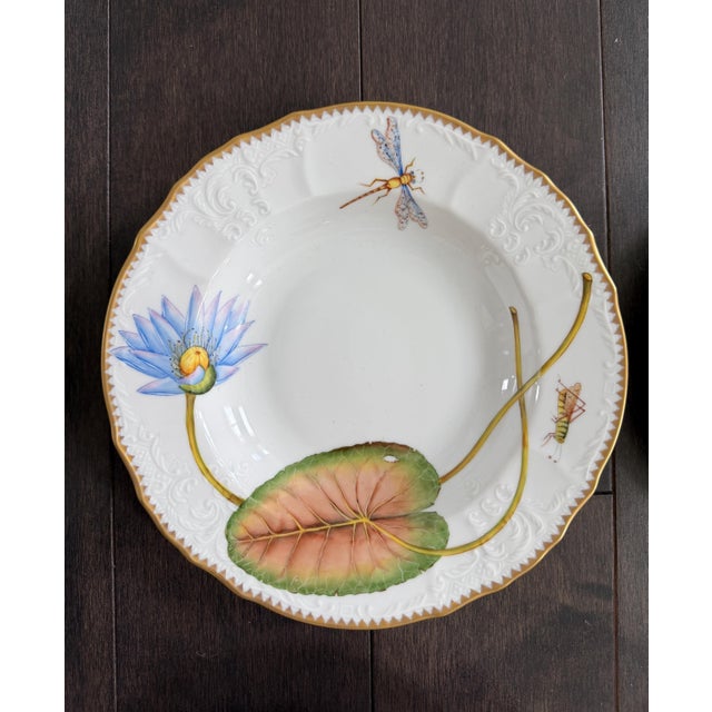 Modern Set of 10 Anna Weatherley Botanical Treasure Garden Rim Soup Bowl 8.75" For Sale - Image 3 of 17
