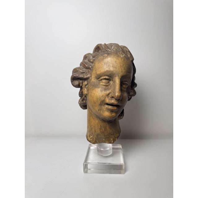 Genovese Artist, Sculpture Depicting the Head of an Angel, 17th Century, Wood For Sale - Image 18 of 18