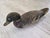 Antique Hand-Stamped "K" Rig Cork & Wood Black Duck Decoy - Early 20th Century Americana For Sale - Image 12 of 12