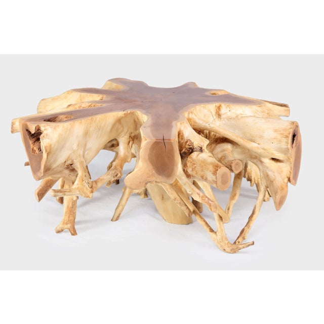2020s Round 36" Inch Organic Teak Root Coffee Table 28 For Sale - Image 5 of 6