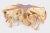 2020s Round 36" Inch Organic Teak Root Coffee Table 28 For Sale - Image 5 of 6