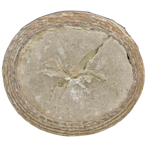 Antique Neoclassical Cameo Intaglio, 1800s For Sale - Image 5 of 5