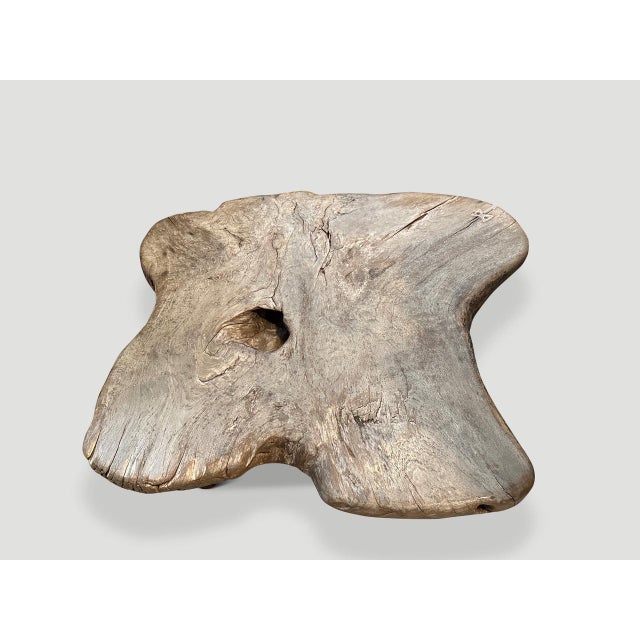 2010s Andrianna Shamaris Impressive Single Slab Teak Wood Coffee Table For Sale - Image 5 of 5