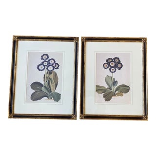 1960s Gilded Black and Gold Gilt Framed Purple Botanical Flower Prints - Set of 2 For Sale