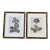 1960s Gilded Black and Gold Gilt Framed Purple Botanical Flower Prints - Set of 2 For Sale