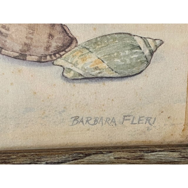 Coastal Boho Pair of Sea Shell Coloured Lithographs For Sale - Image 4 of 6