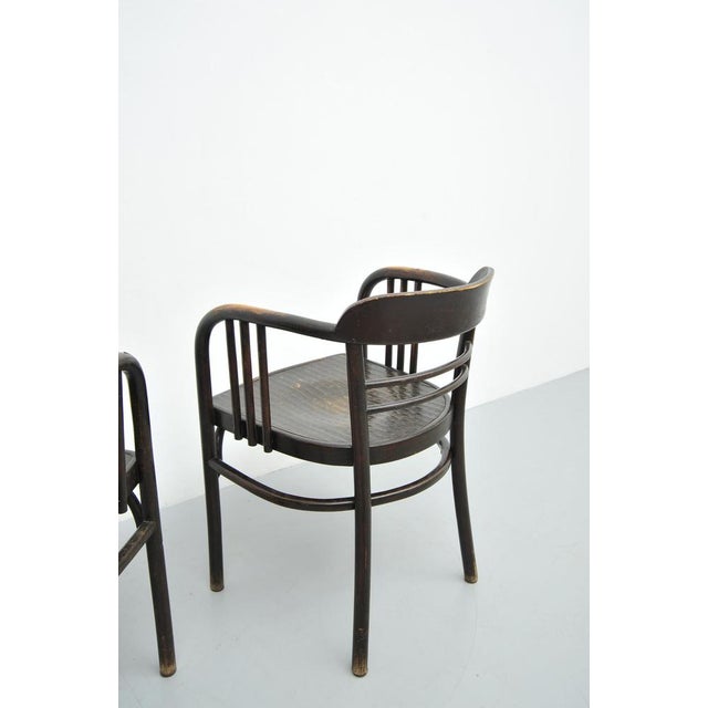 Set of Model 6093 Chairs in Beech by Jacob & Josef Kohn, Vienna, Austria, 1890s For Sale - Image 15 of 18
