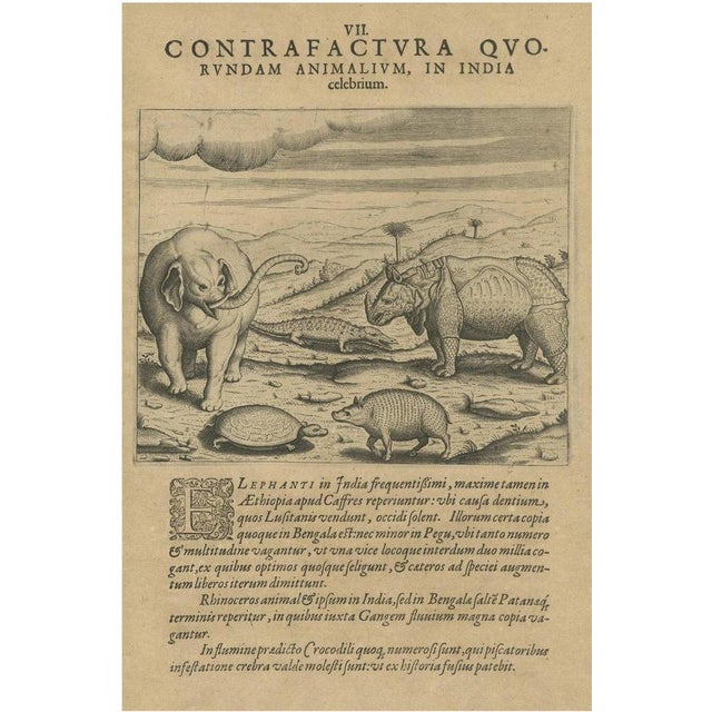 Beige Theodore de Bry, Animals in India, 1601, Copper Engraving on Paper For Sale - Image 8 of 8