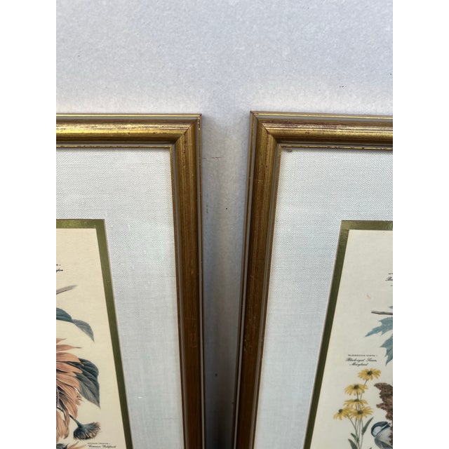 Wood Mid Century Pair of Framed Audubon Bird & Flower Prints Signed Arthur Singer -2 For Sale - Image 7 of 10
