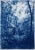 "Soft Light in the Woods" Contemporary Landscape Handmade Cyanotype Print on Watercolor Paper For Sale