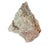 A sizable Specimen of Petrified Wood that captures the quiet drama of a deep geological time. Weighing in at an impressive...