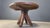 Vintage Dining Table from Depuydt, Belgium, 1960s For Sale - Image 11 of 16