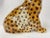 1970's Italian Ceramic Baby Leopard For Sale - Image 10 of 12