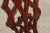Chippendale Ball & Claw Mahogany Childs Side Chair For Sale - Image 12 of 18