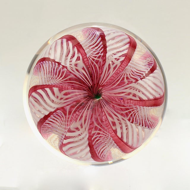 Paul Ysart Poinsettia on a Pink & White Latticino Ground Glass Paperweight For Sale - Image 9 of 10