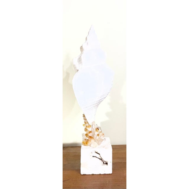 Handcrafted Marine & Mineral Sculpture by Joseph Malekan For Sale - Image 16 of 18
