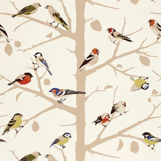 Sample - Schumacher A-Twitter Wallpaper in Summer For Sale