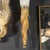 Mid-Century Hand-Blown Murano Frosted Glass Sconces With Spiral Amber Drop For Sale - Image 16 of 18