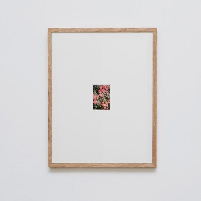 The Rose Garden Prints by David Urbano, 2018, Set of 9 For Sale - Image 12 of 18