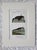 1842 Fne Hand Colored Copperplate Whale Engraving, Florence, Italy For Sale - Image 4 of 4
