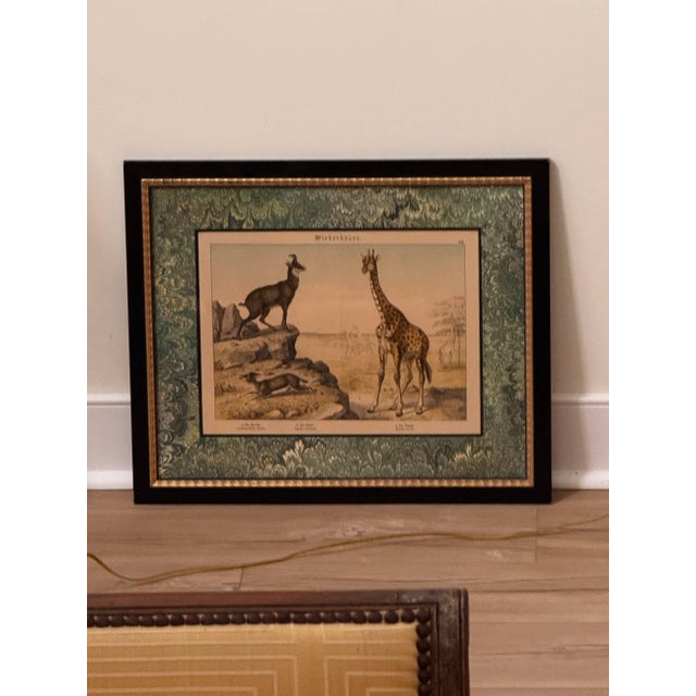 Set of nine chromolithographs by Gotthilf von Schubert, (1780-1860) from "Natural History of the Animal Kingdom," the...