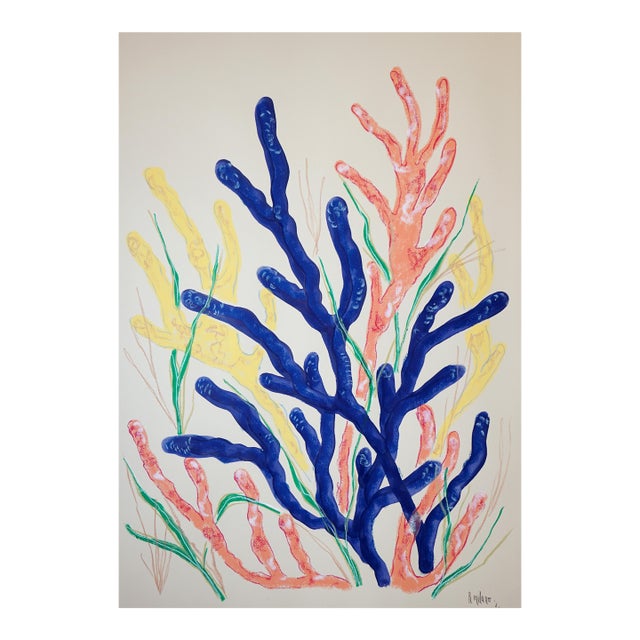 2026, Naturalistic Illustration Style Drawing of Marine Biology, Acrylic Paint and Gouache Crayon on Paper by Romina Milano For Sale