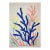 2026, Naturalistic Illustration Style Drawing of Marine Biology, Acrylic Paint and Gouache Crayon on Paper by Romina Milano For Sale