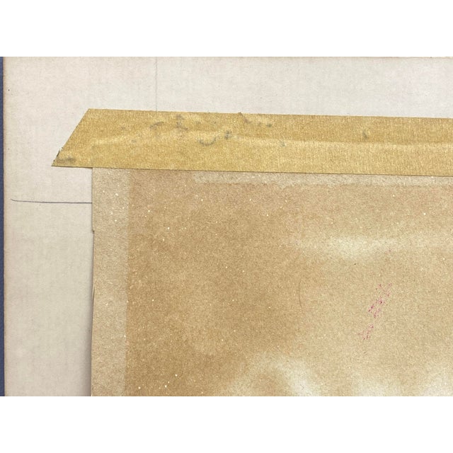 1960s Grasshopper Lithograph by Sarah Crocker For Sale In New York - Image 6 of 10