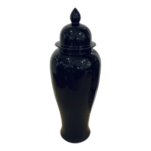 Chinese Black Glaze Porcelain Ginger Jar