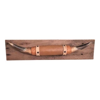 Vintage Mounted Bull Horns For Sale