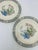 1900 - 1909 Antique Chinoiserie Plates, a Pair For Sale - Image 5 of 6