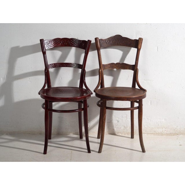 Antique Bentwood Chairs, Central Europe, 1900s, Set of 4 For Sale - Image 11 of 14